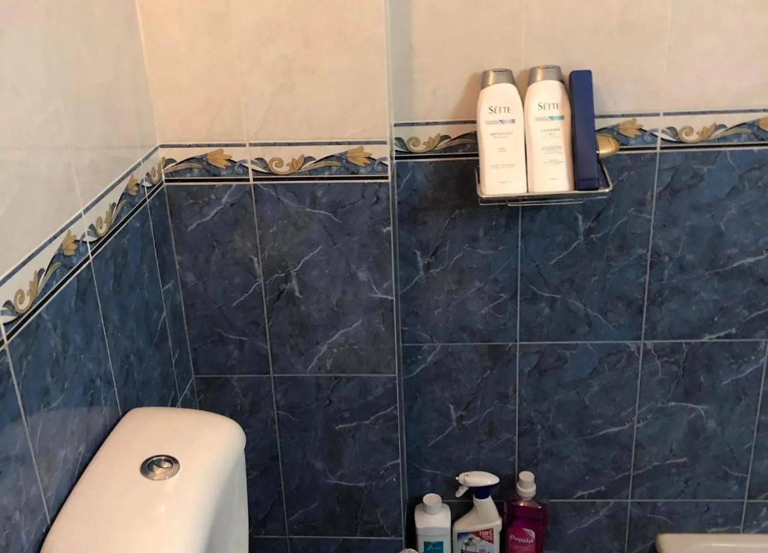 Elianas Apartment Vlorë